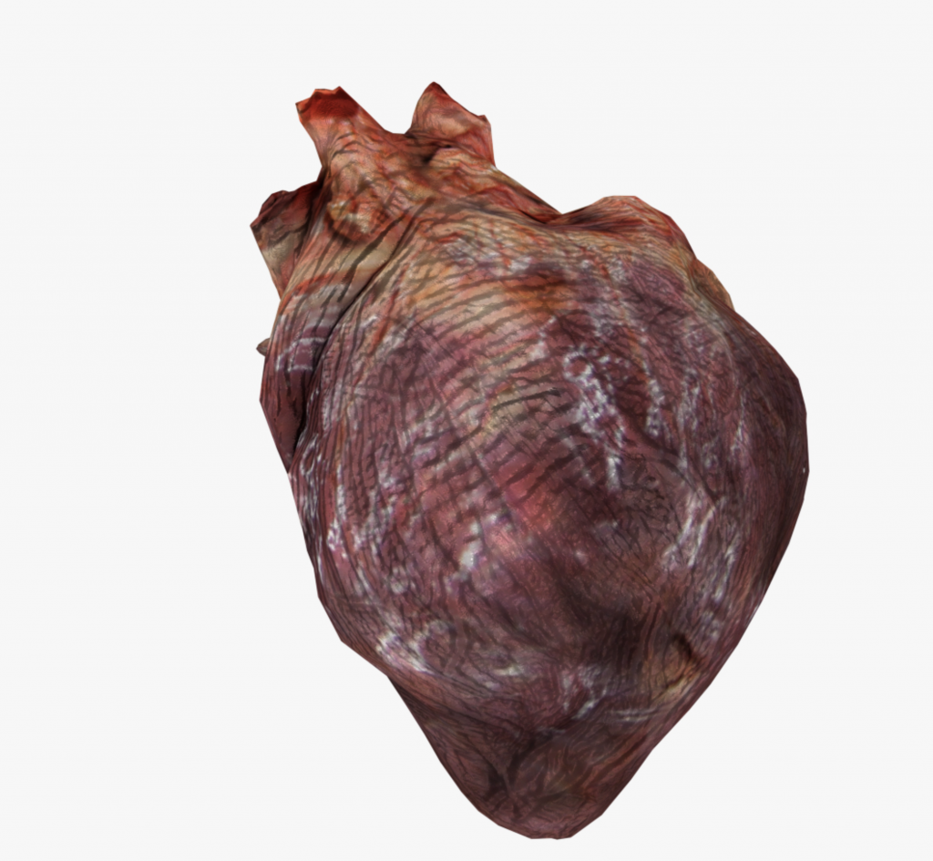 3D heart