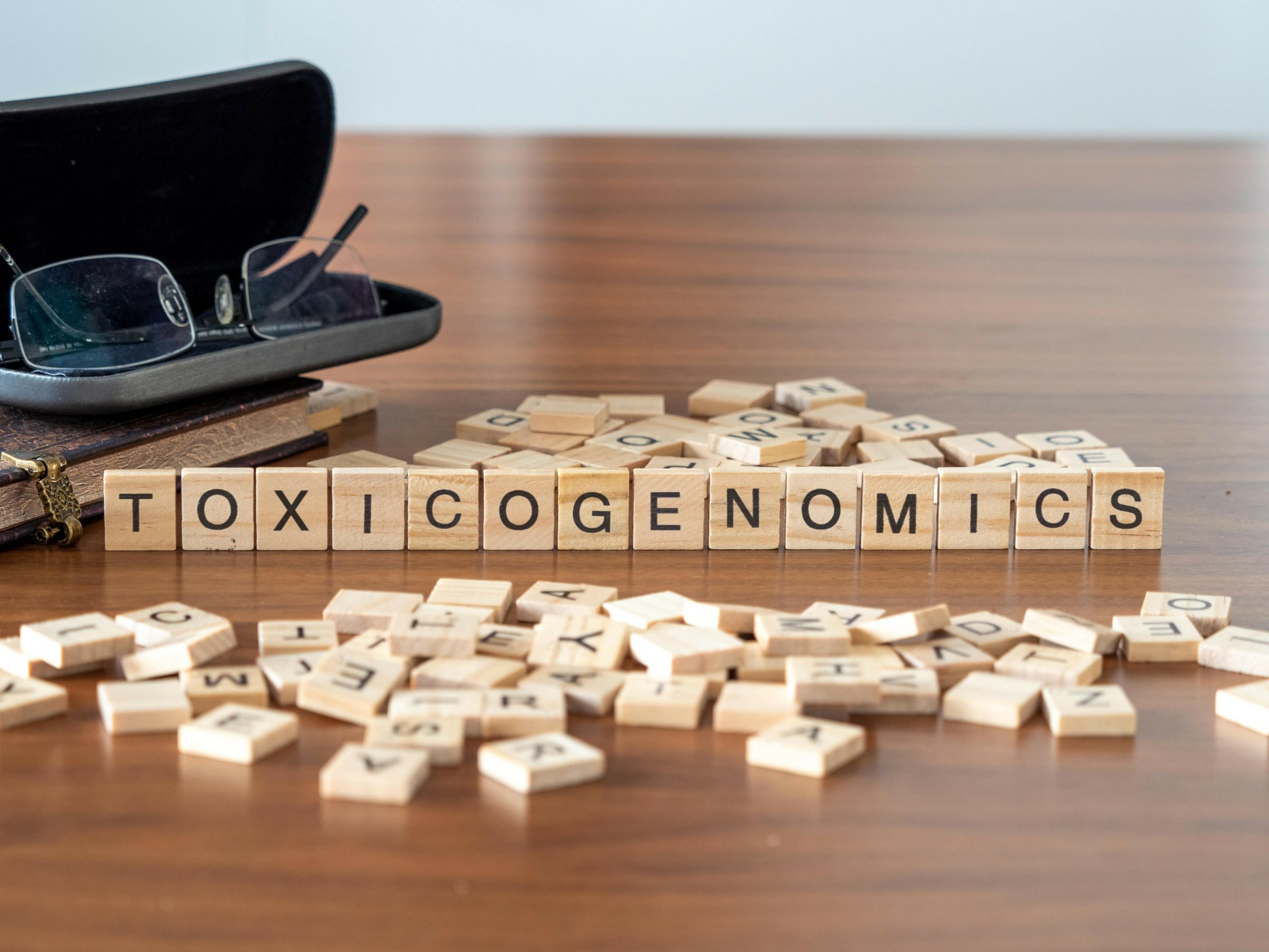 toxicogenomics concept represented by wooden letter tiles