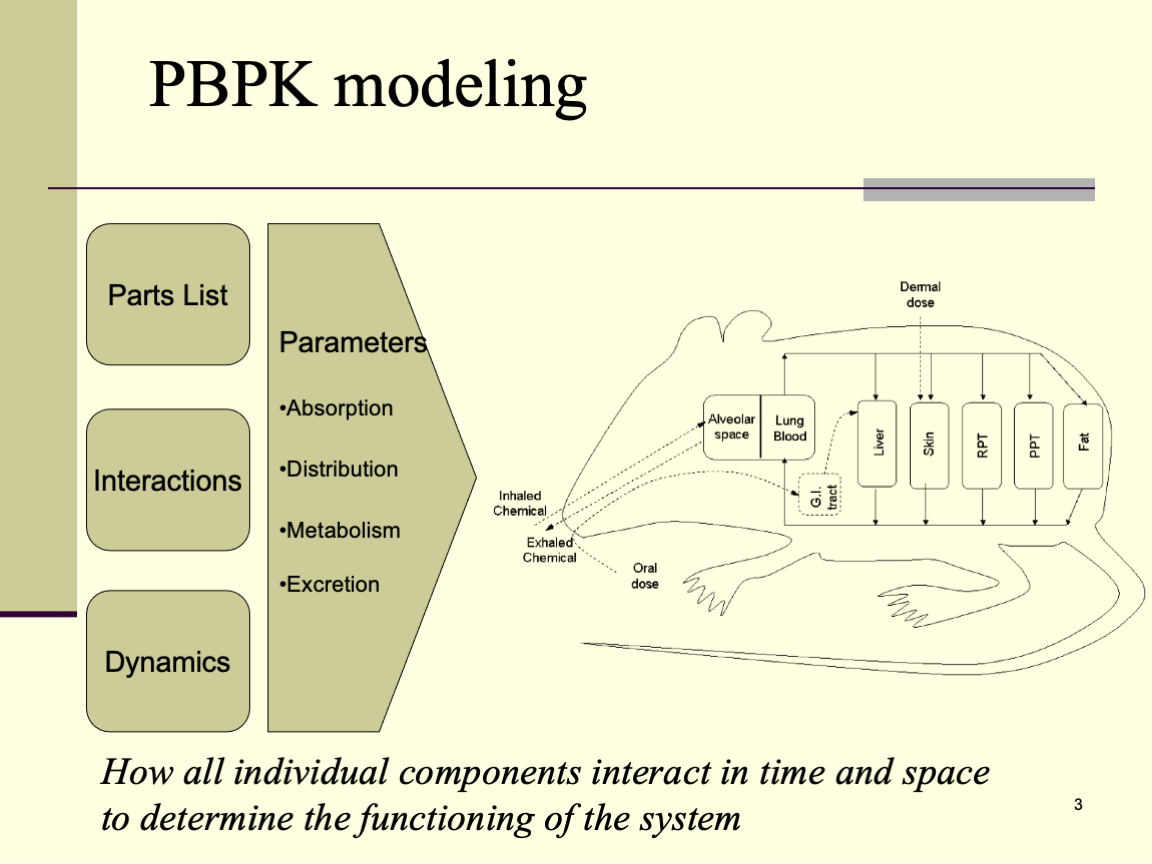 Featured image for “Chemical structure-property relationships and PBPK modeling: Progress and Perspectives”