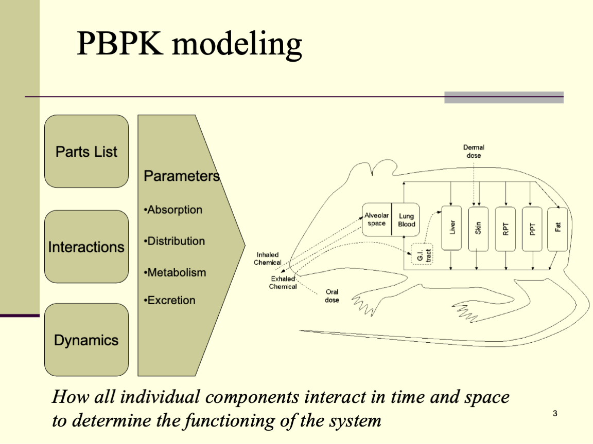 PBPK Modeling