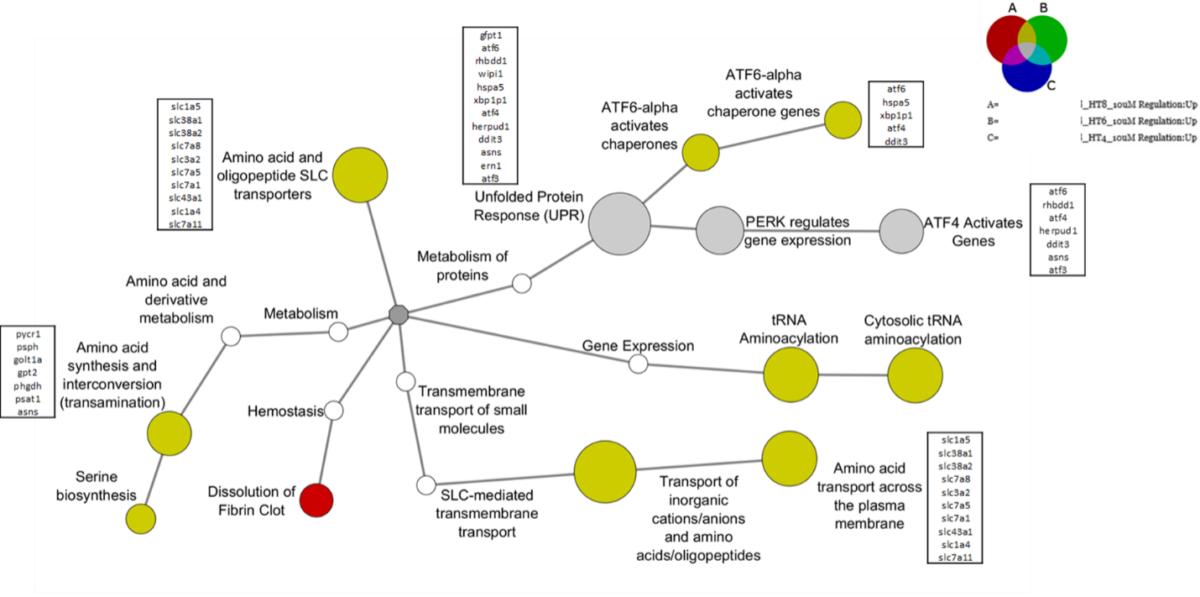 Understanding the Mode of Action of a Compound - ScitoVation