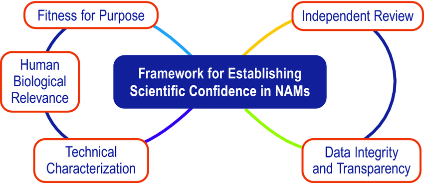 Featured image for “(R)Evolution in Validation:  Establishing Scientific Confidence in NAMs”