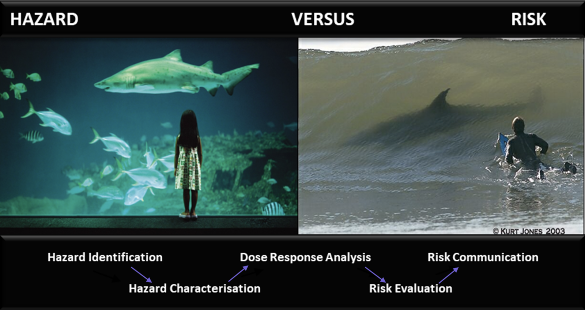 Assessing Risk