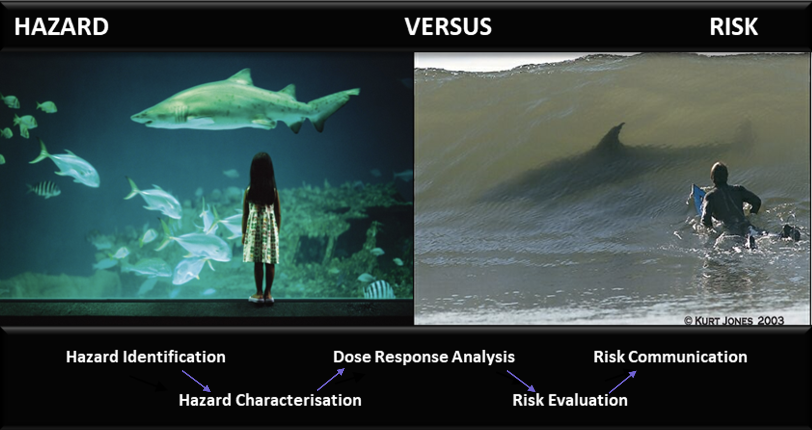 Featured image for “Replacing Regulatory Default Assumptions of Linear Extrapolation of Risk with Benchmark Dose for Next Generation Genotoxicity Risk Assessments”4102:full