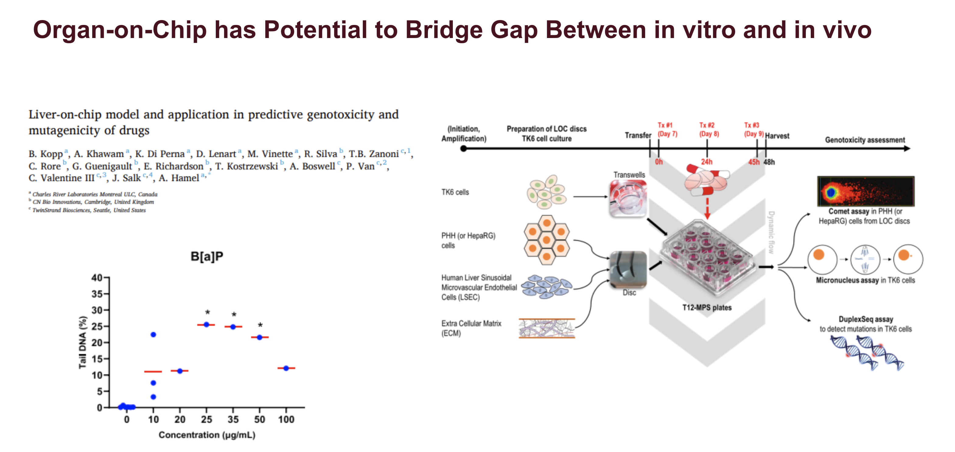 Featured image for “Quantitative Interpretation of in vitro Genotoxicity Data for Risk Assessment”4111:full