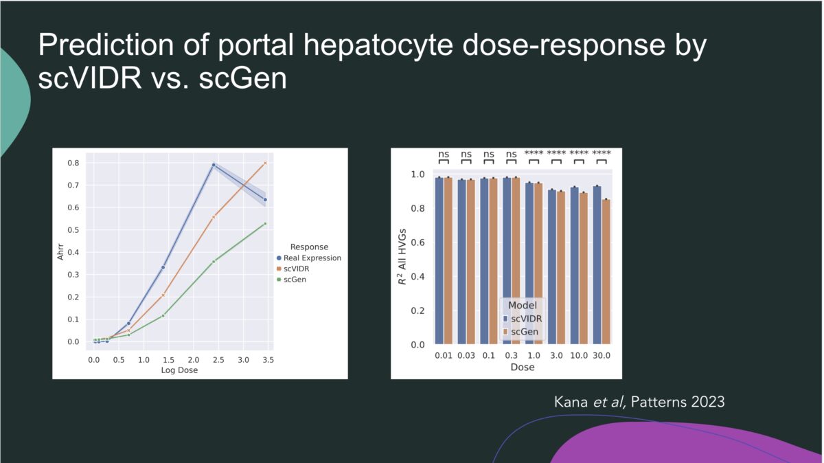 prediction of portal hepatocyte does response by scVIDR vs scGEN